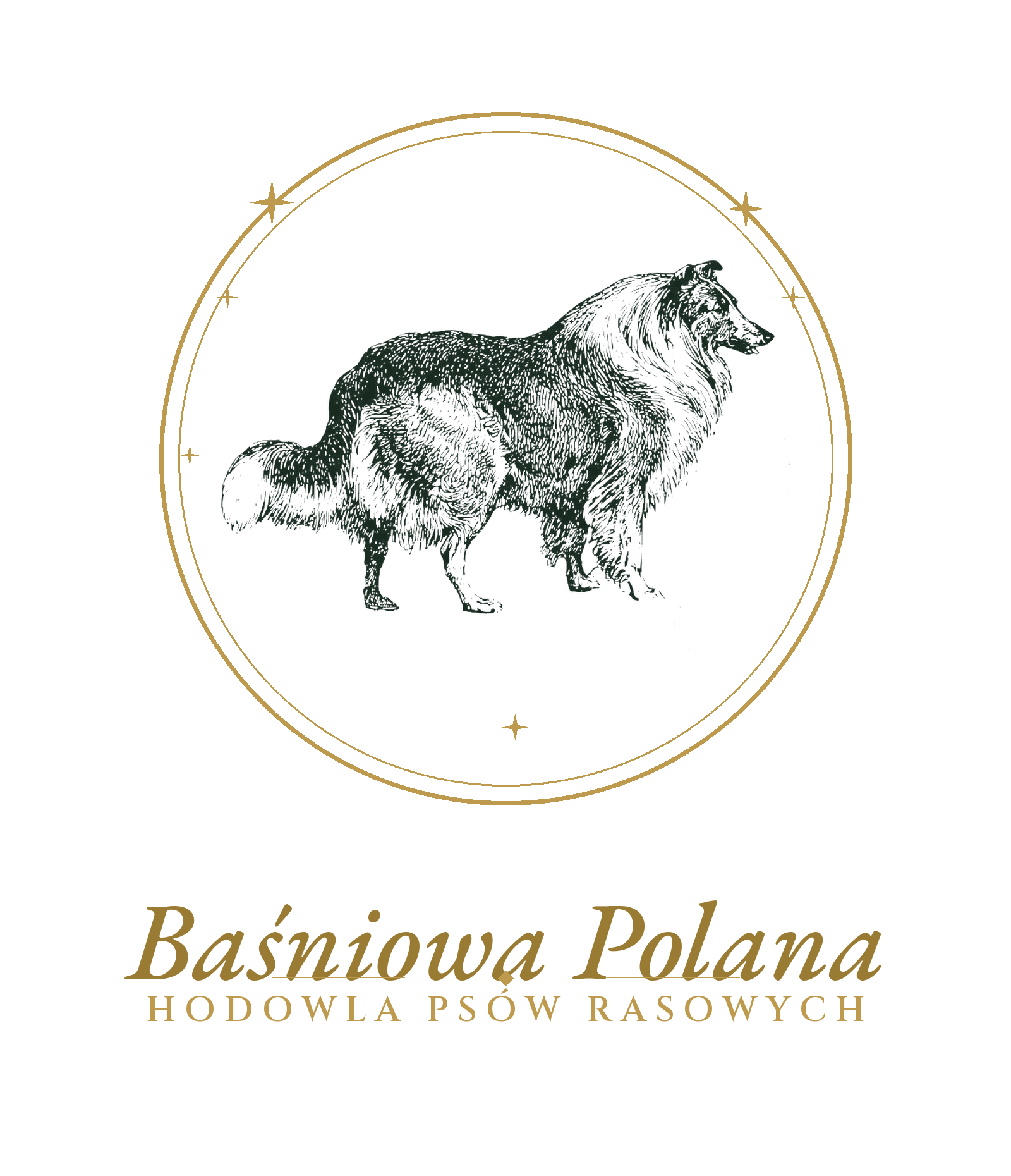 Baśniowa Polana